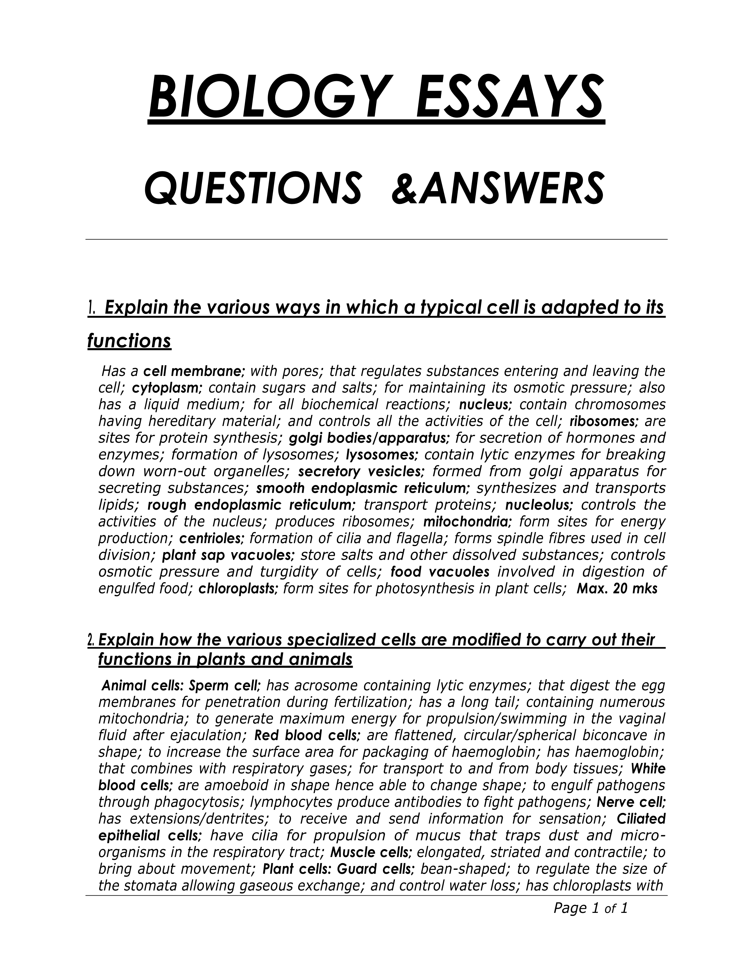 No preview available